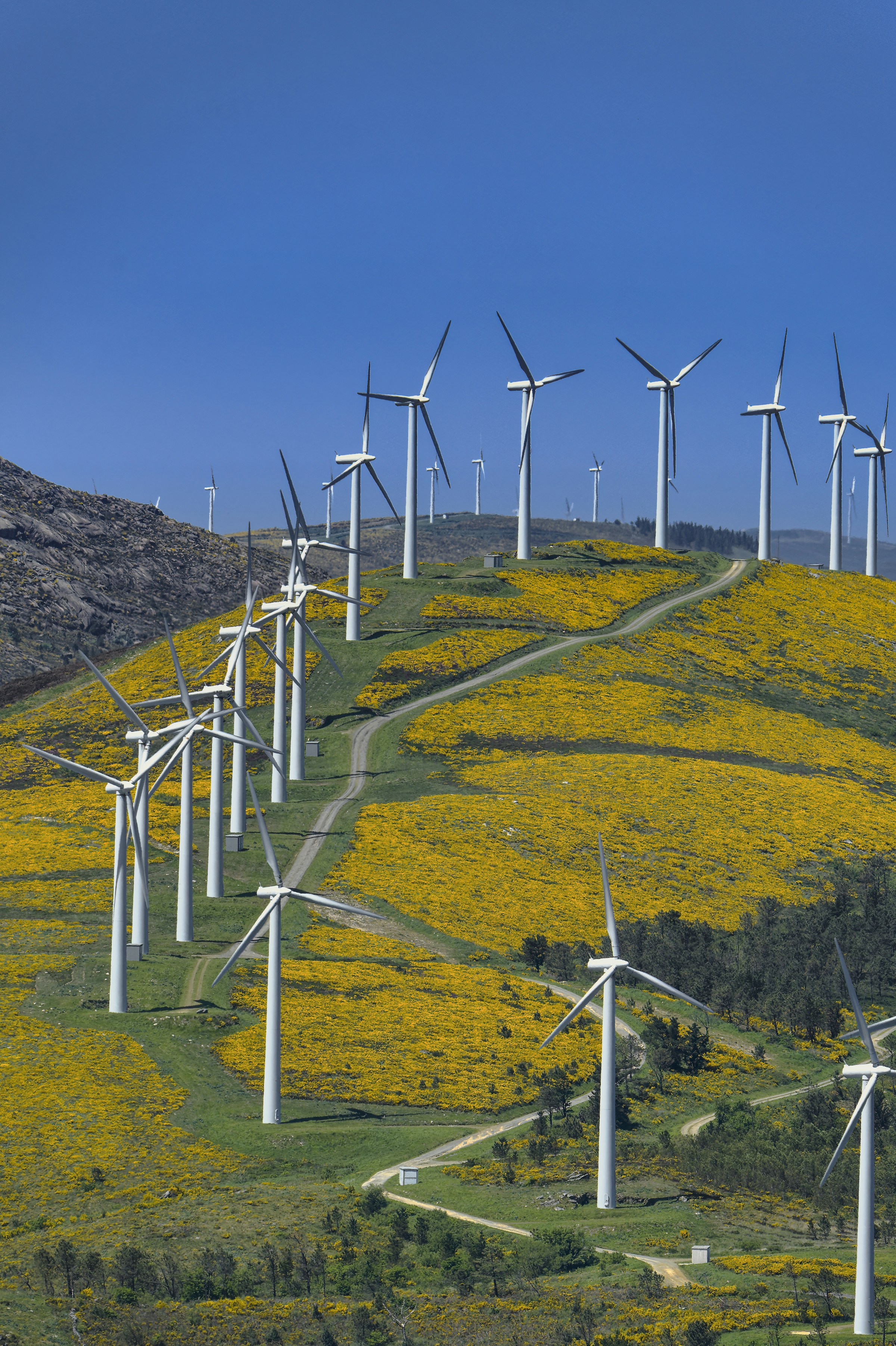 Wind turbines along a green hillside.